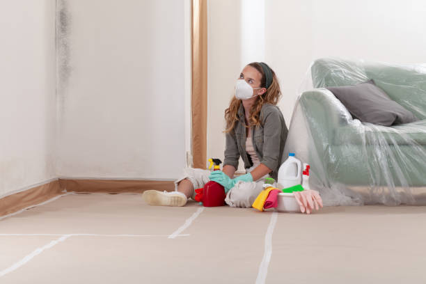 Reliable Crawl Space Mold Remediation contractor in Georgetown, TX by Mold Remediation HQ